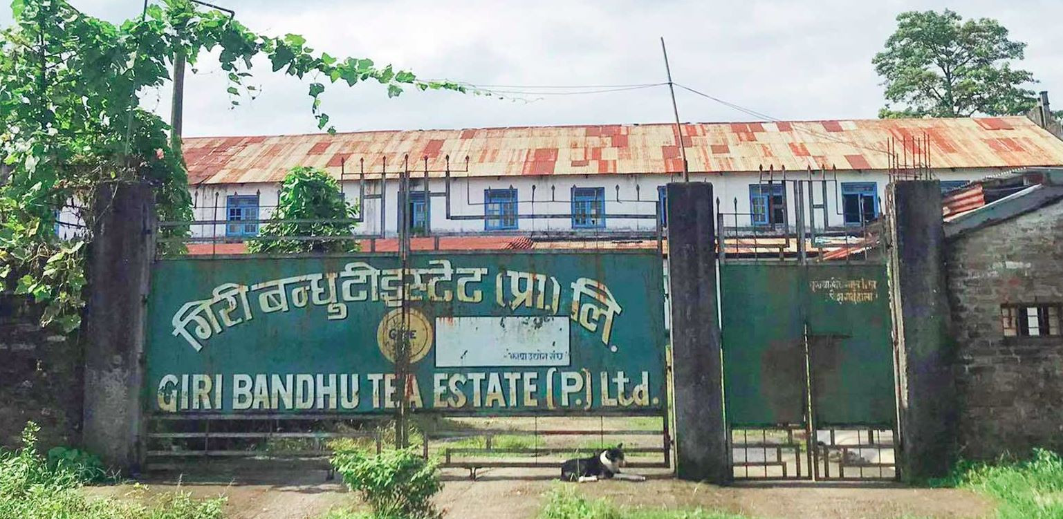 गिरीबन्धु टि स्टेटको जग्गा सट्टाभर्ना गर्न दिने तत्कालीन ओली सरकारको निर्णय बदर